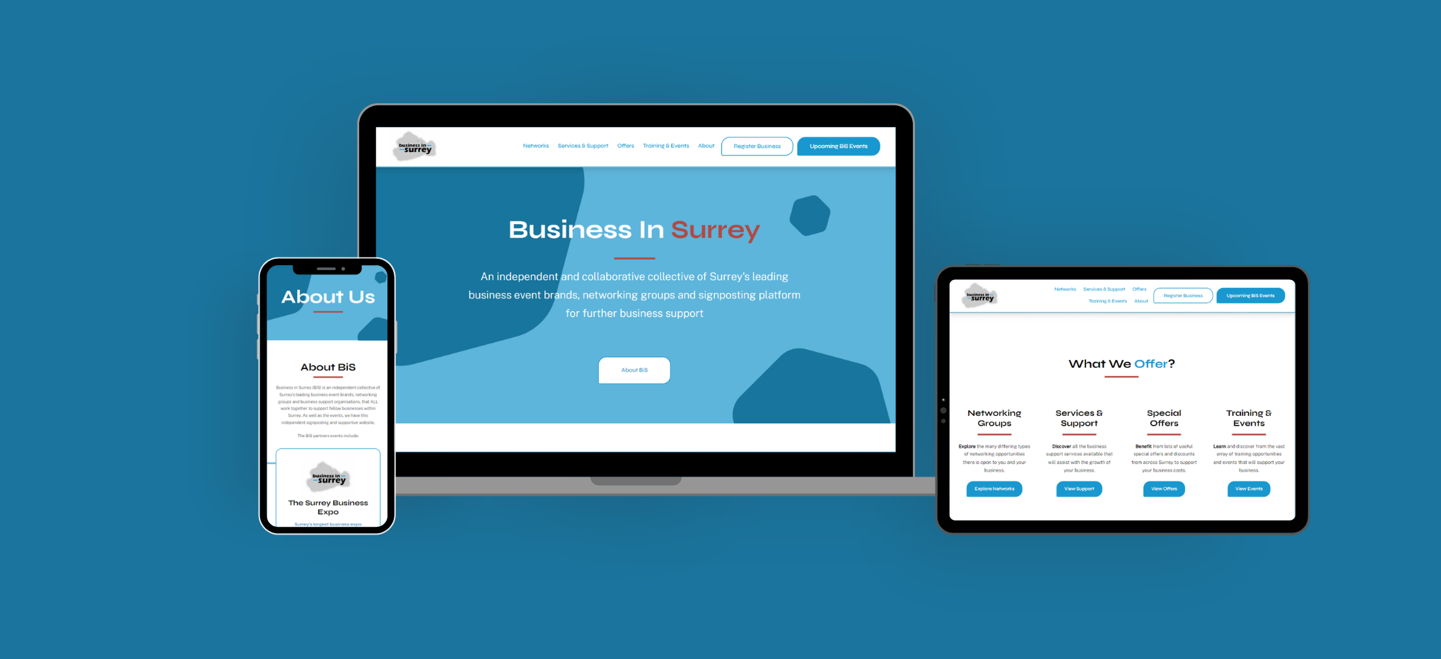 Business In Surrey Case study Website design build