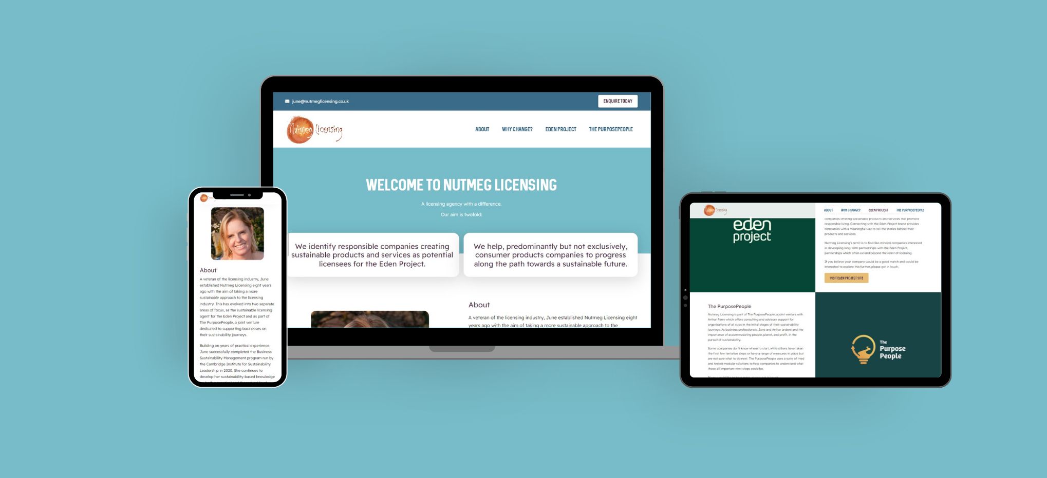 Nutmeg Licensing Case study Website design build
