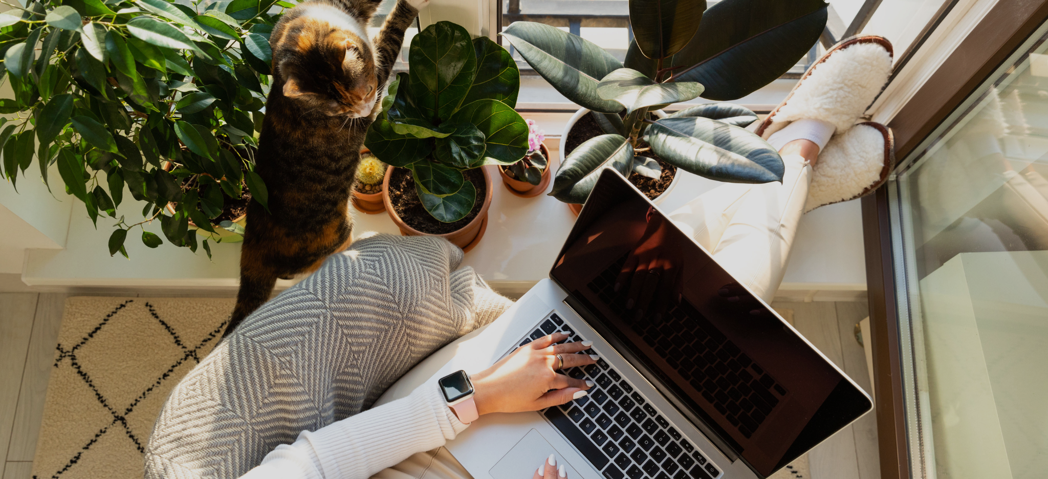 6 Reasons You Need a Web Maintenance Package