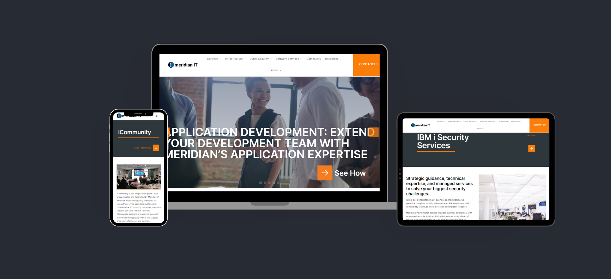 Meridian IT Case study Website design build