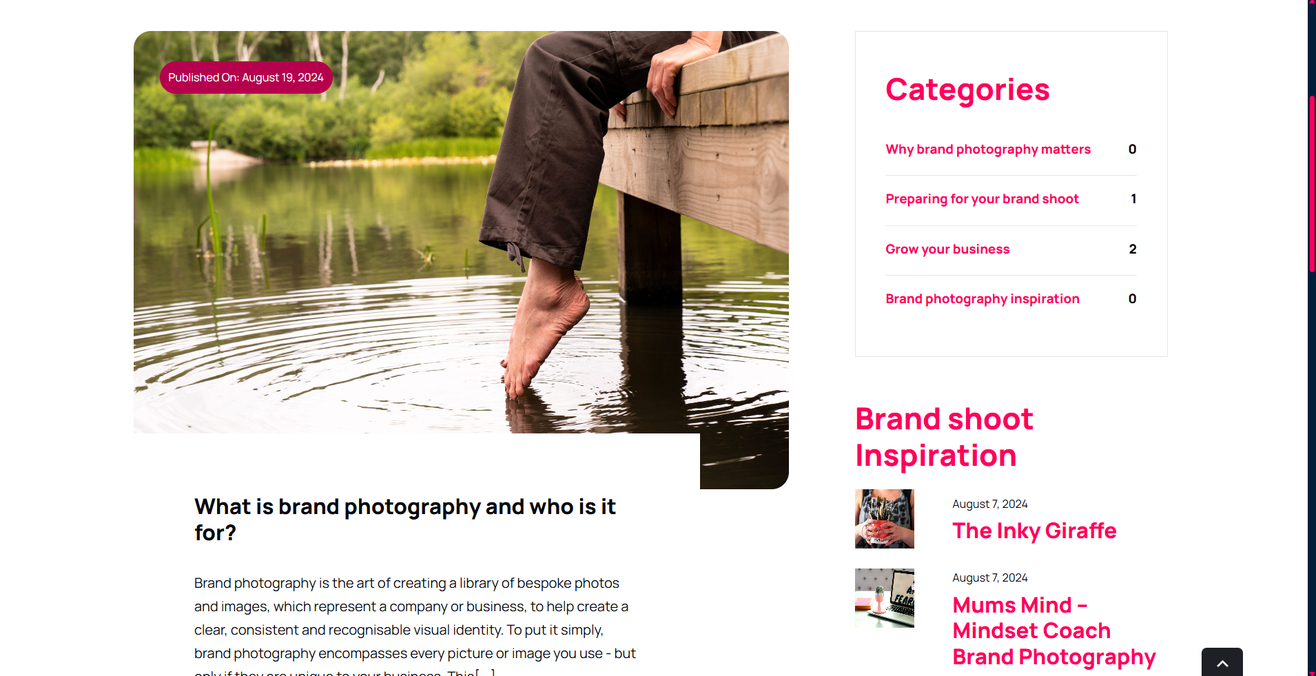 Clare With The Camera Wordpress website design client - Blog example